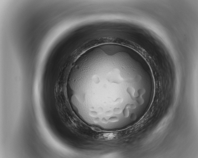 X0000115620050200911171324