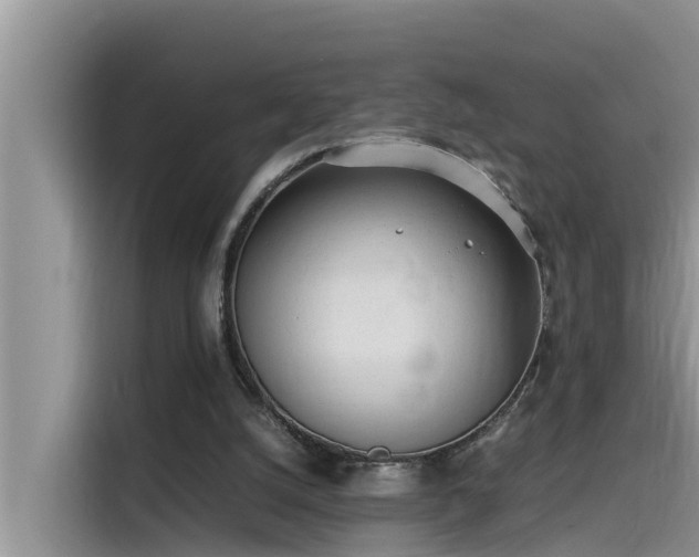 X0000115620056200911171324