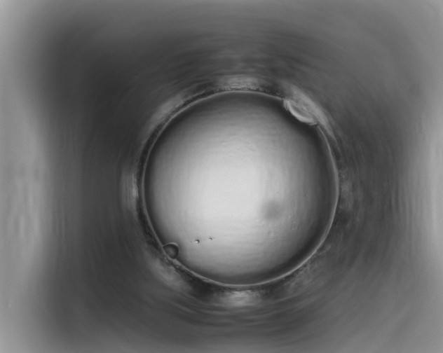 X0000115620059200911171324