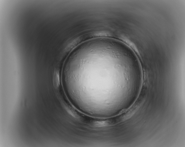 X0000115620061200911171324