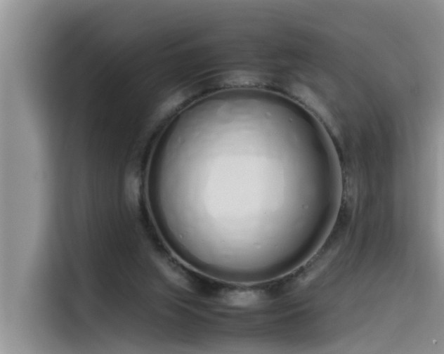 X0000115620063200911171324