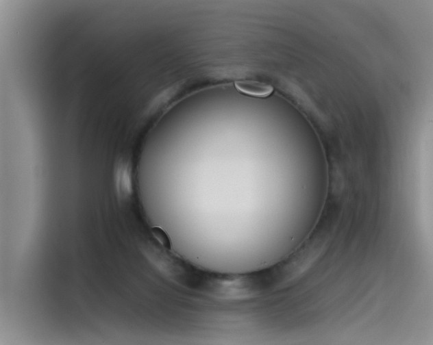 X0000115620068200911171324