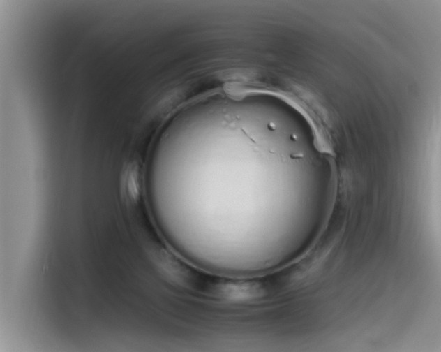 X0000115620069200911171324