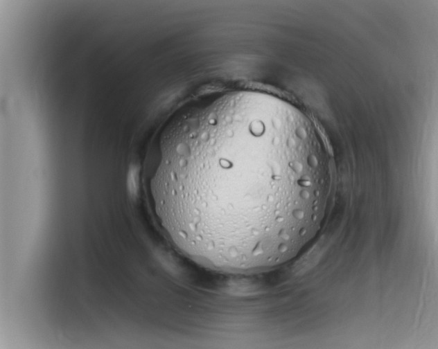 X0000115620070200911171324