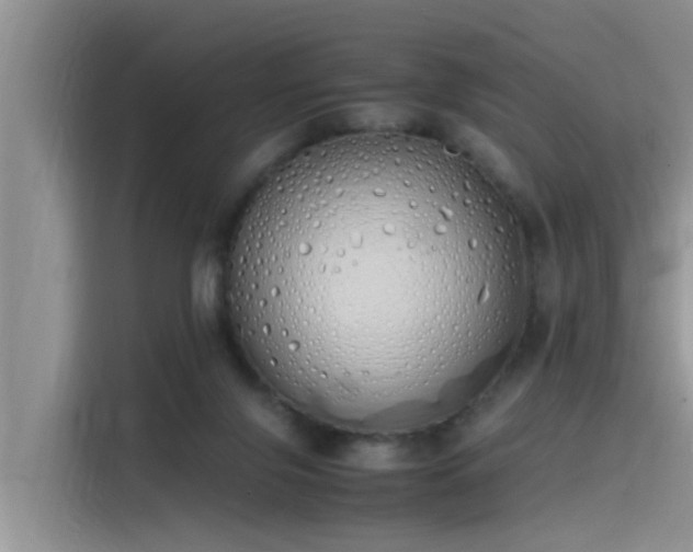 X0000115620071200911171324