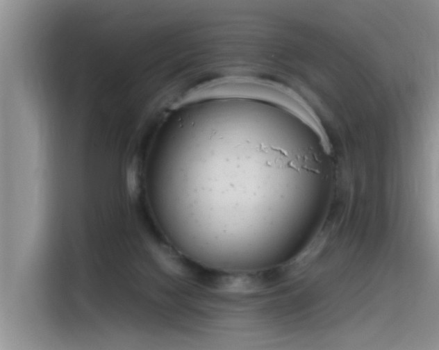 X0000115620074200911171324