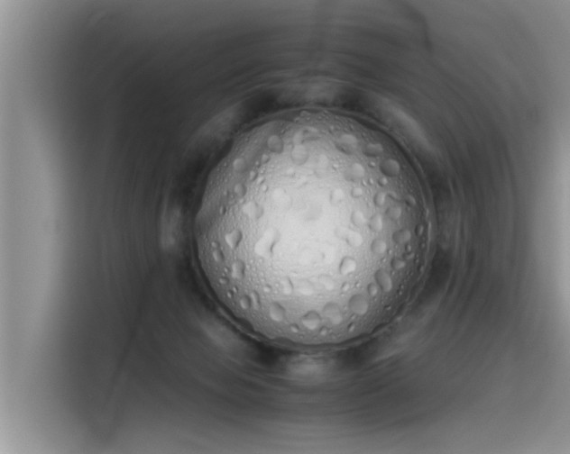 X0000115620077200911171324