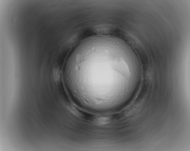 X0000115620081200911171324