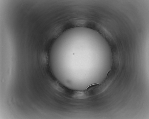 X0000115620083200911171324