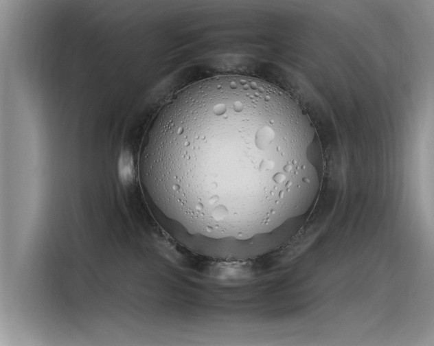 X0000115620089200911171324