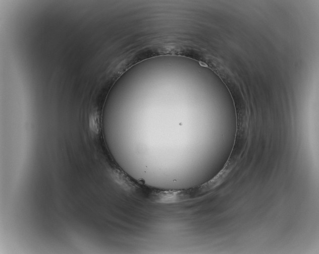 X0000115620090200911171324