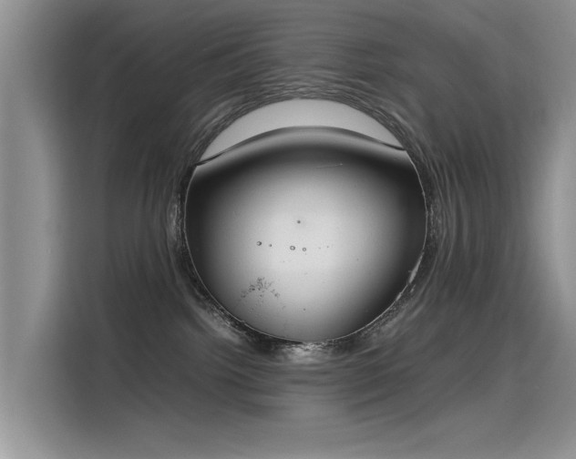 X0000115620092200911171324