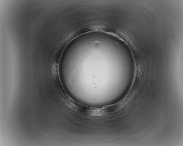 X0000115620093200911171324