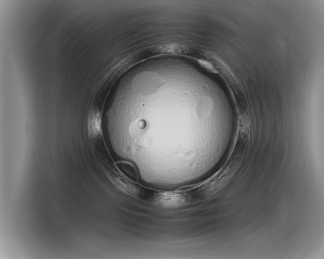 X0000115620095200911171324