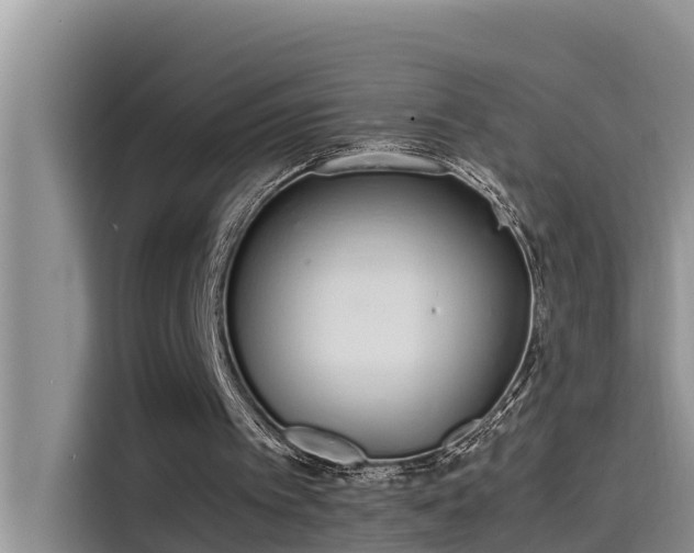 X0000115620097200911171324