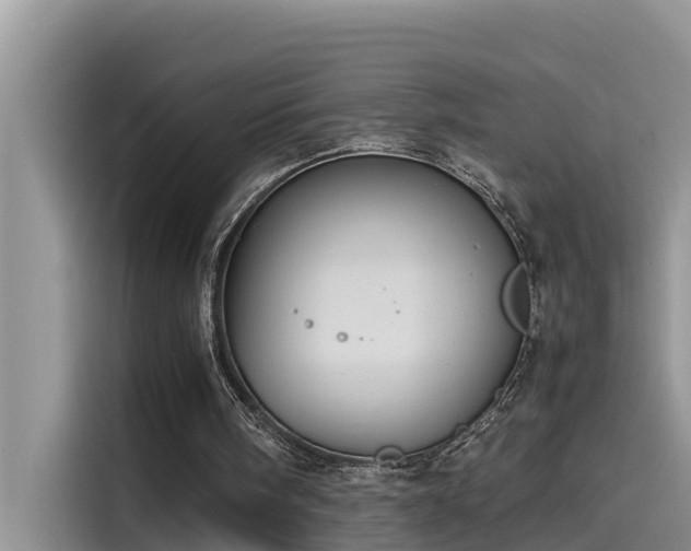 X0000115620098200911171324