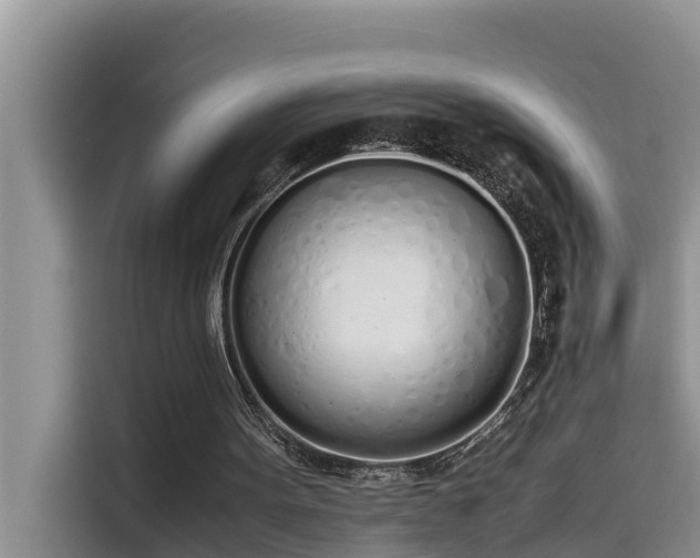 X0000115620099200911171324