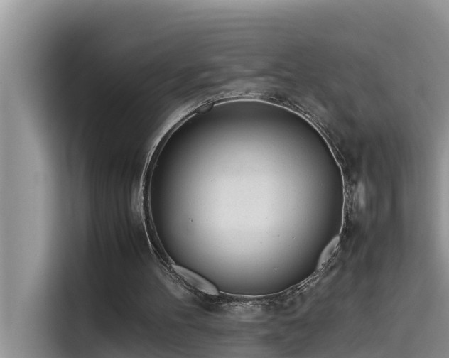 X0000115620100200911171324