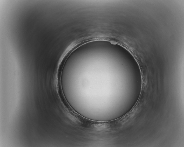 X0000115620102200911171324