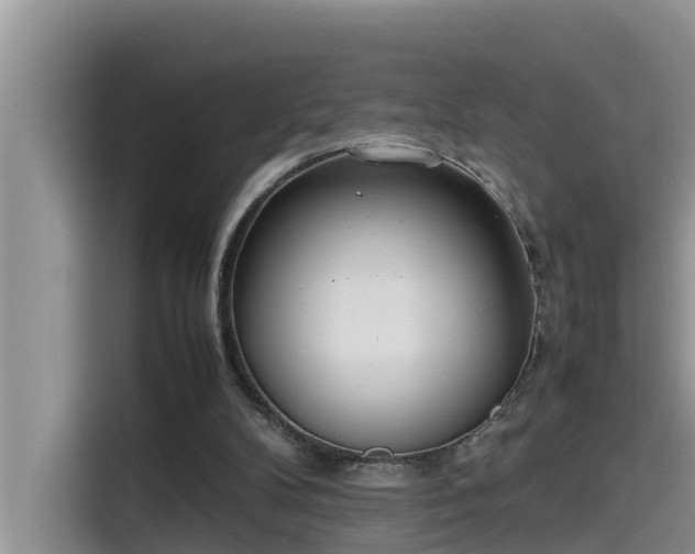 X0000115620104200911171324