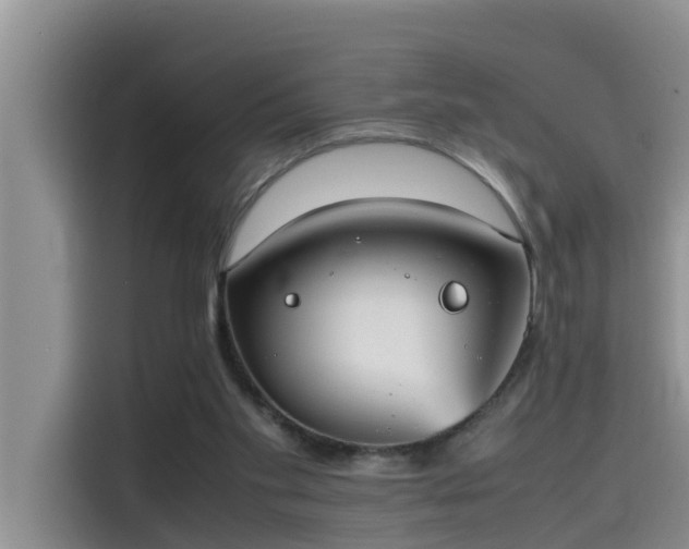 X0000115620109200911171324