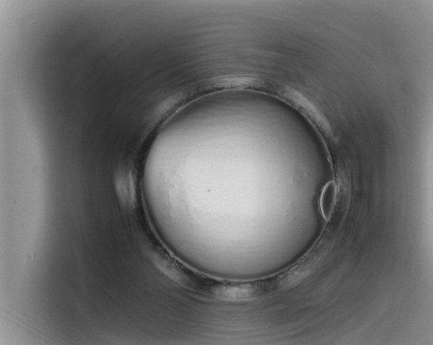 X0000115620110200911171324