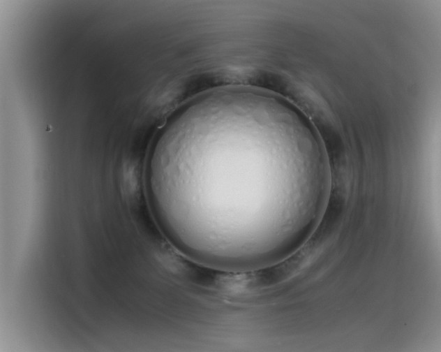 X0000115620131200911171323