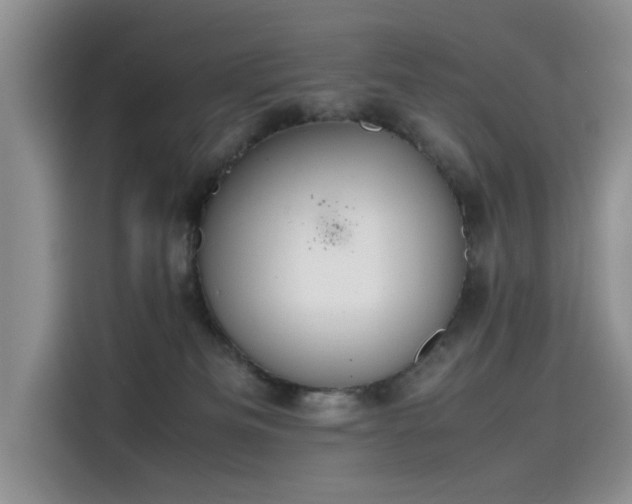 X0000115620133200911171323