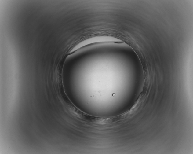 X0000115620136200911171323