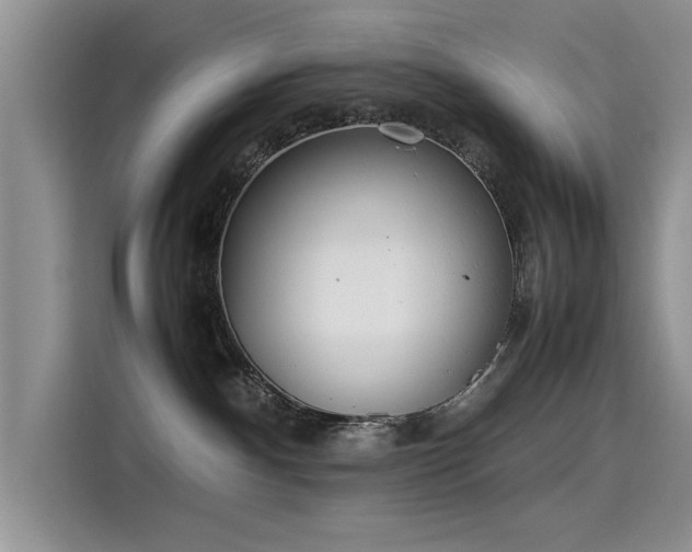 X0000115620140200911171323