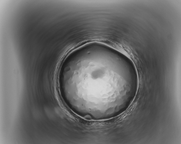 X0000115620145200911171323