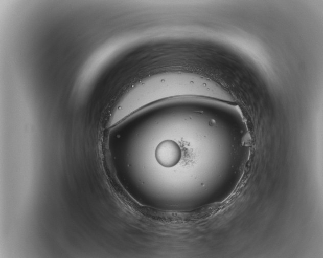 X0000115620146200911171323