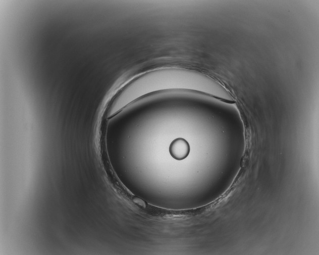 X0000115620150200911171323