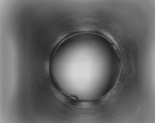 X0000115620154200911171323