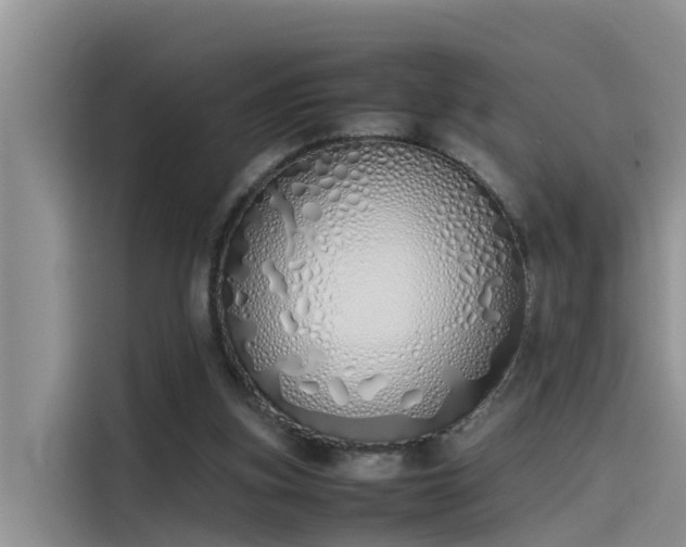 X0000115620155200911171323