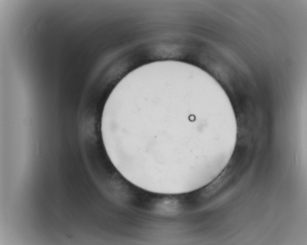 X0000115620162200911171323