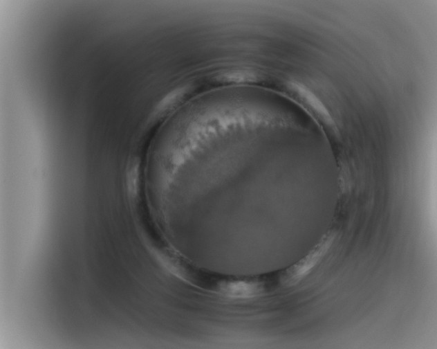 X0000115620163200911171323