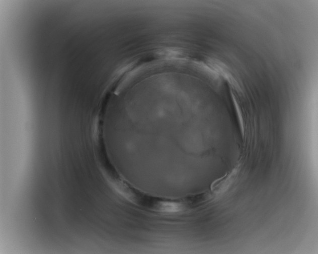 X0000115620167200911171323