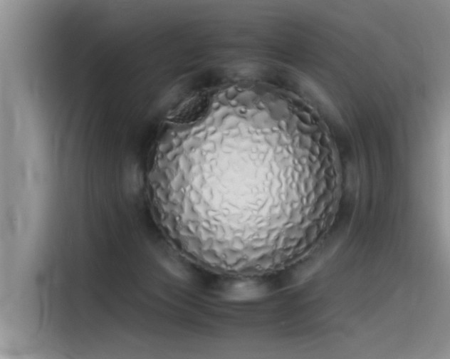 X0000115620173200911171323