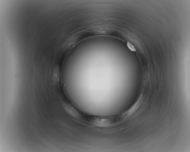 X0000115620174200911171323