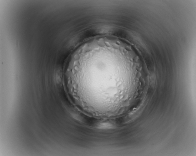 X0000115620175200911171323