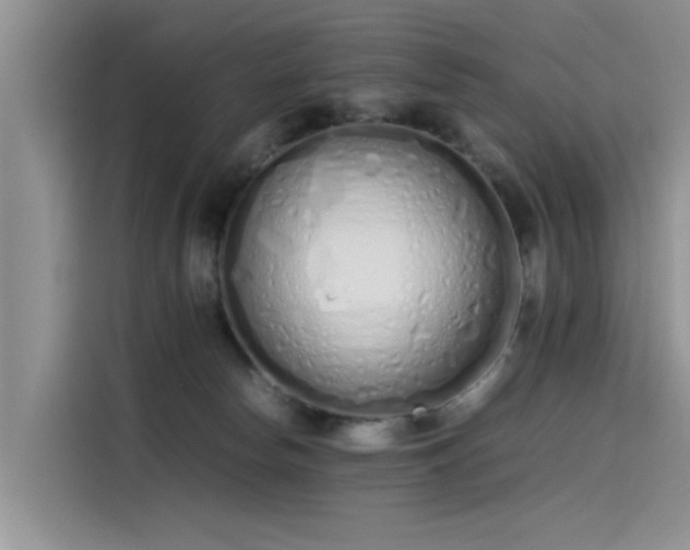 X0000115620178200911171323