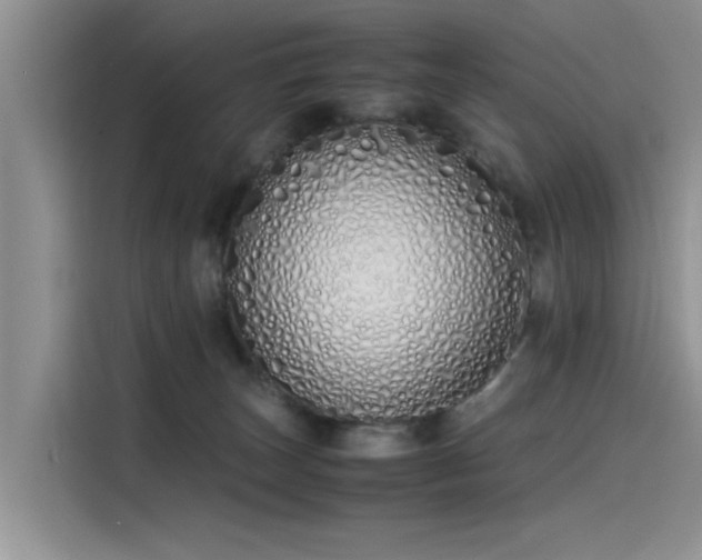 X0000115620179200911171323