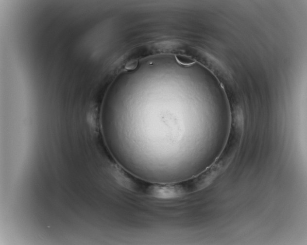 X0000115620181200911171323