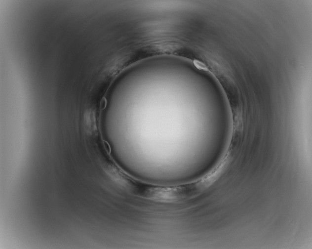 X0000115620182200911171323