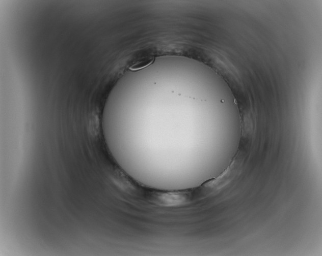 X0000115620183200911171323