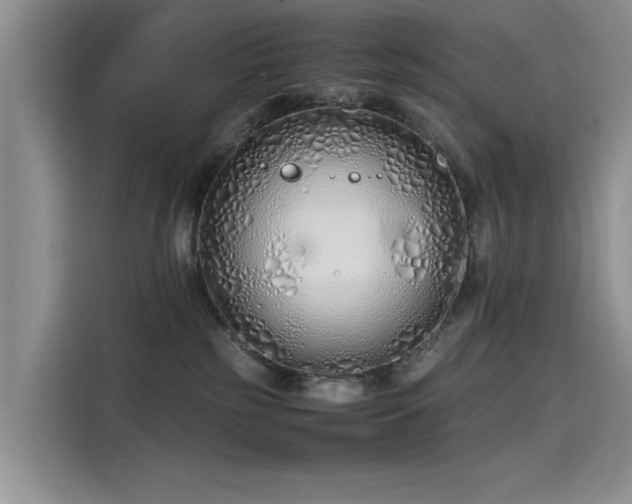 X0000115620185200911171323