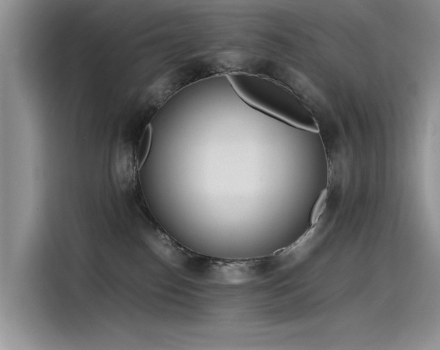 X0000115620186200911171323