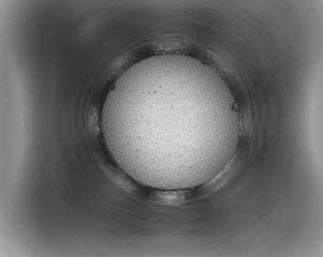 X0000115620187200911171323