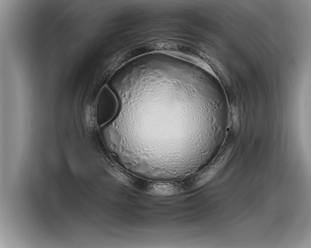 X0000115620189200911171323